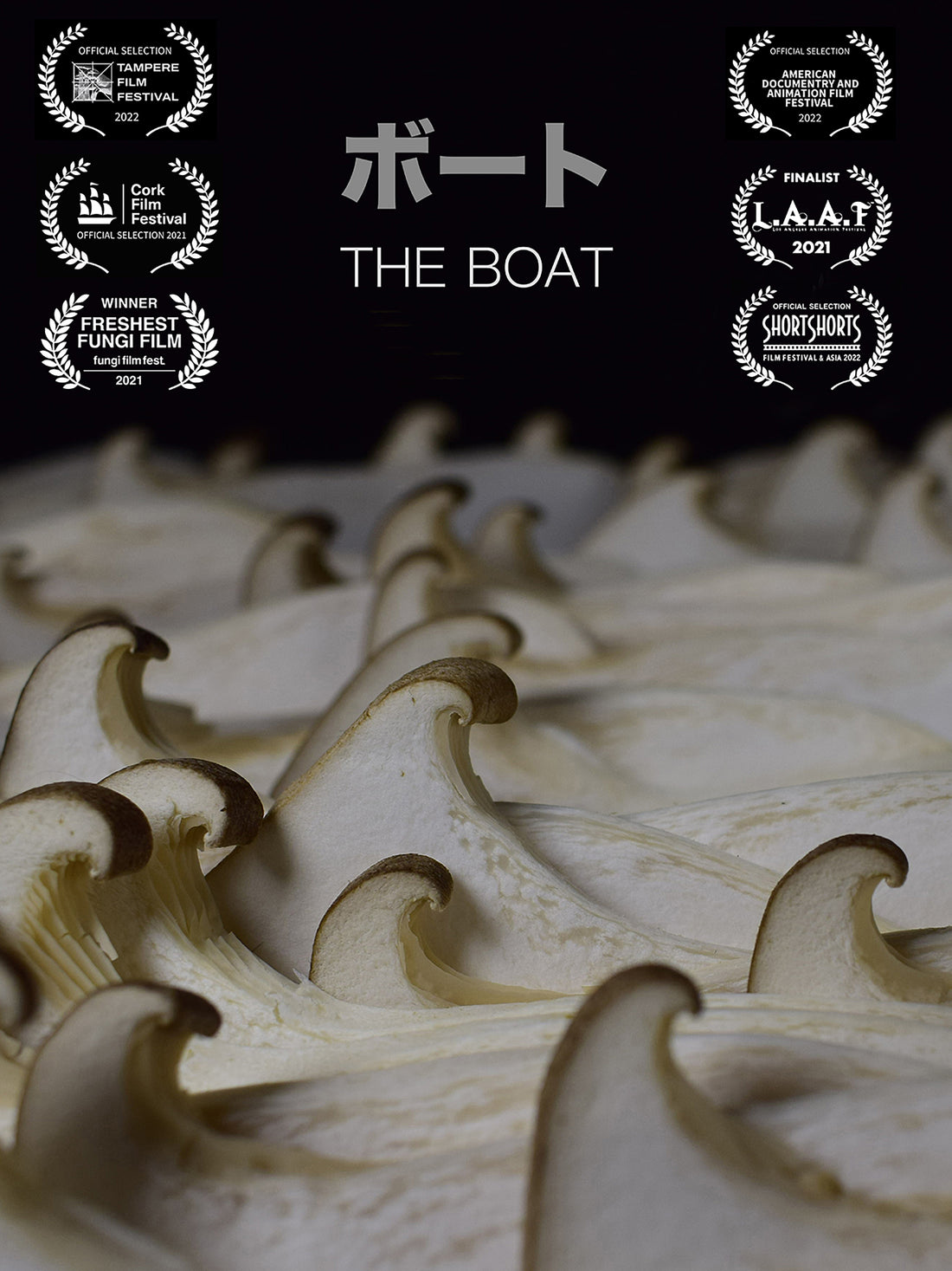 Fungi Film Festival winner!