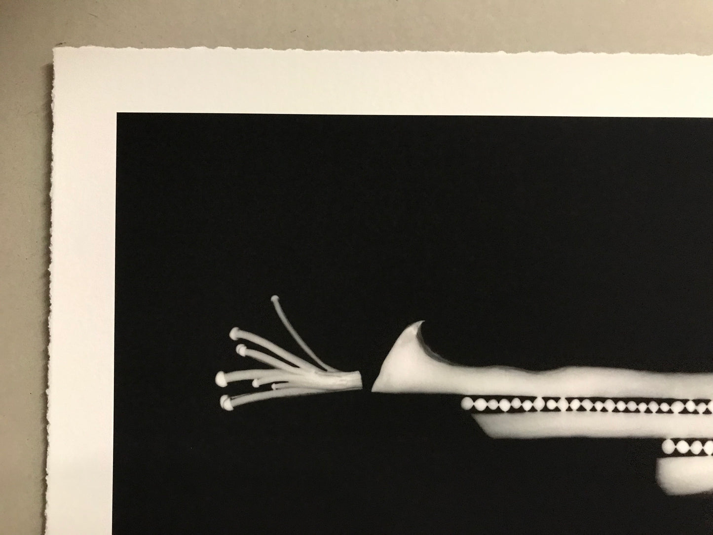 SporeShooter Mushroom Print (Western) Edition #2/10. 2018