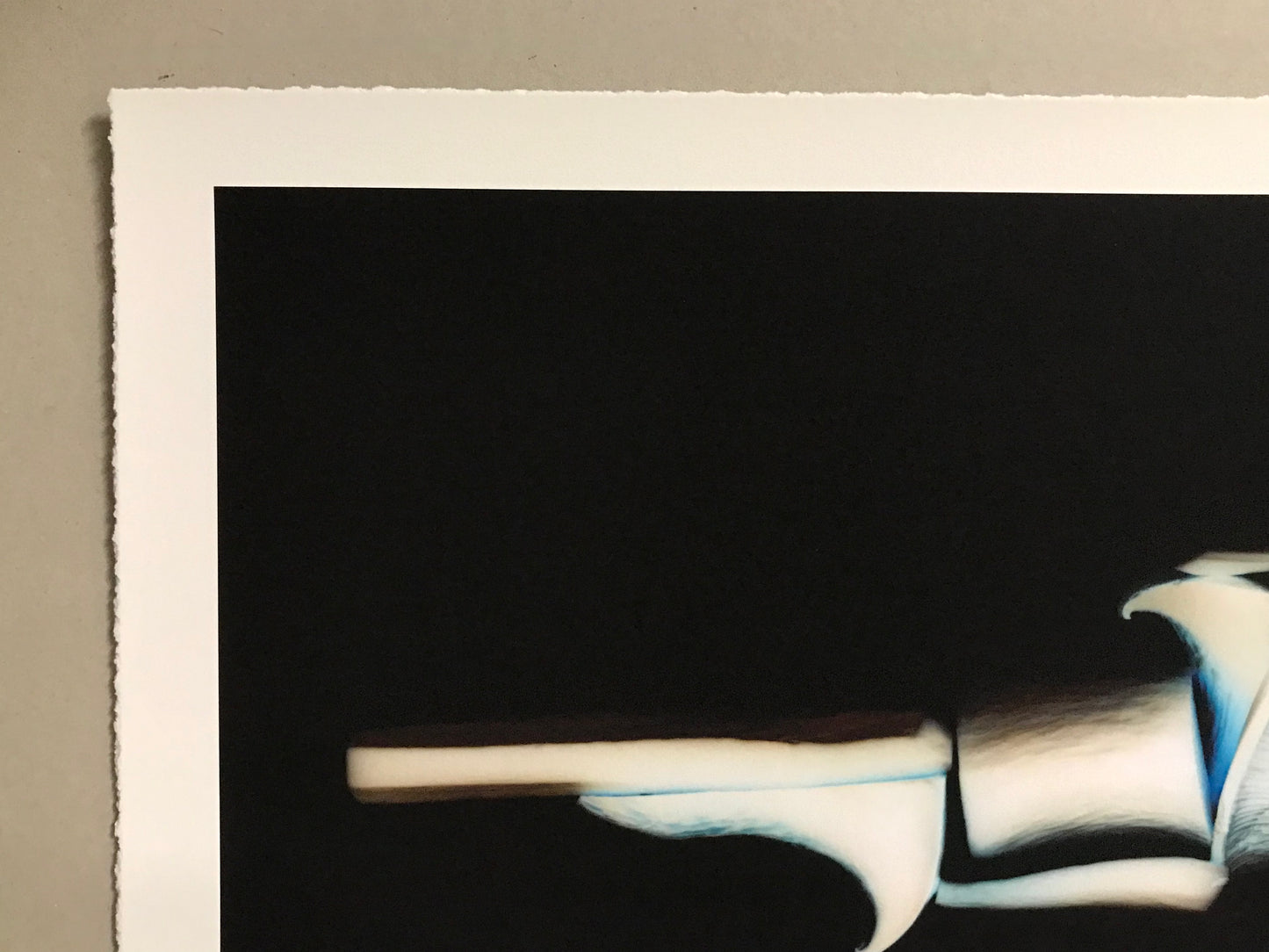 SporeShooter Mushroom Print (Mutiny) Edition #3/10.  2018
