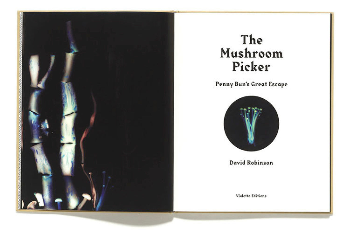 The Mushroom Picker